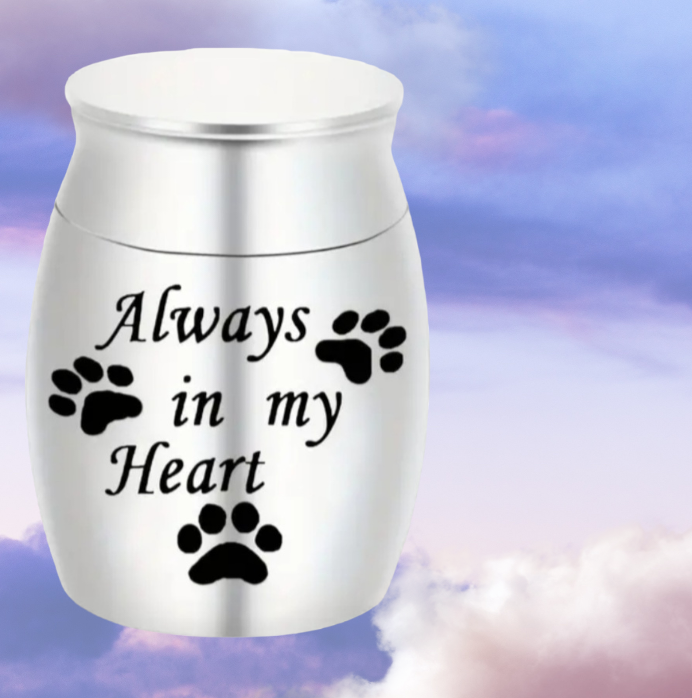 Mini Cremation Urn for Pets